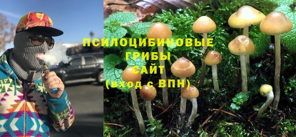apvp Алексеевка