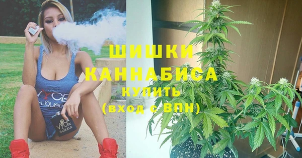 дурь Алзамай