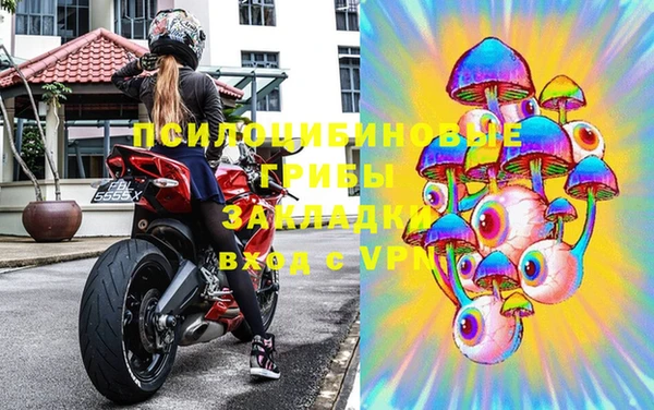 дурь Алзамай