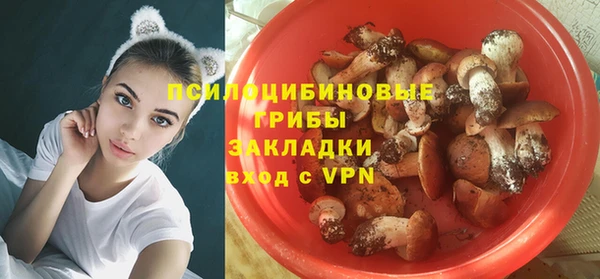 apvp Алексеевка