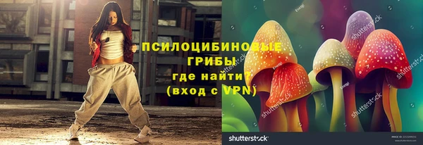 дурь Алзамай
