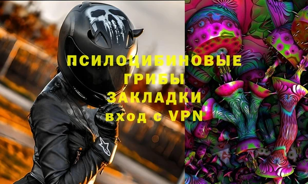 дурь Алзамай