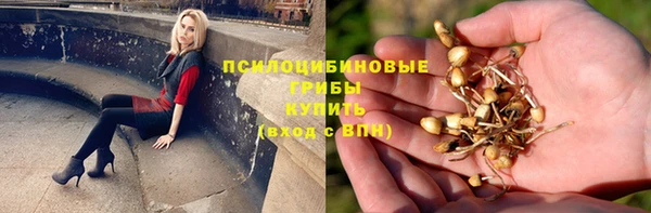 apvp Алексеевка